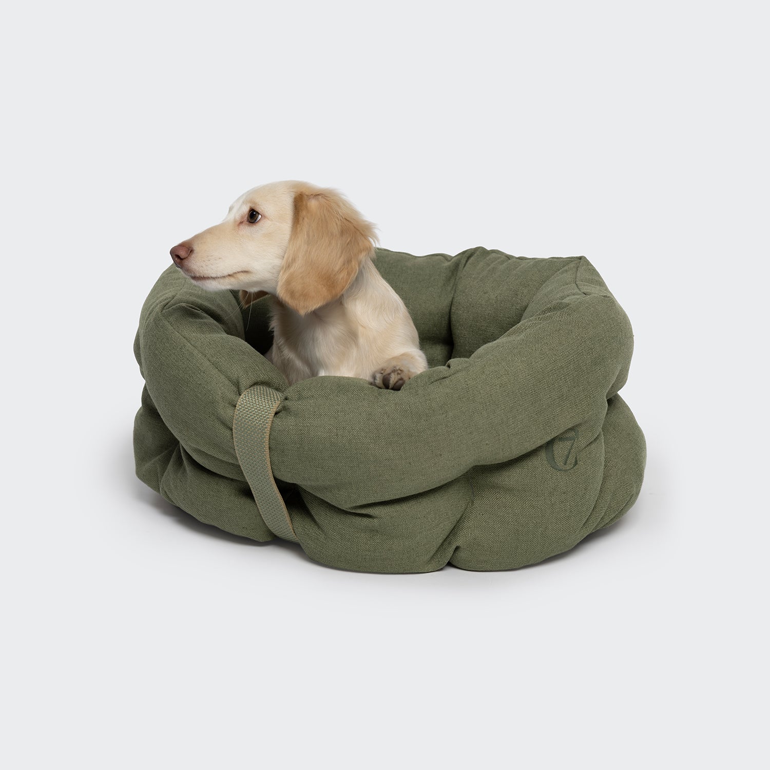 CLOUD7_ Ein kleiner cremefarbener Hund sitzt in einem runden, grünen Hundebett LTTL Snoozy Linen-Mix Moss und blickt nach links vor einem schlichten hellgrauen Hintergrund.