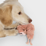 Hundespielzeug LTTL Shrimp Susi
