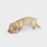 Dog Toy LTTL Calamari Carl