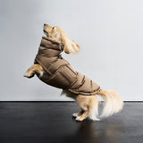 Hundemantel Dackel Alaska Sandy Brown