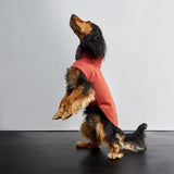Hundemantel Brooklyn Rust
