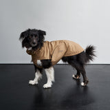 Dog Raincoat Dublin 2.0 Sandy Brown