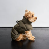Hundemantel Everest Light Olive