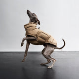 Hundemantel Alaska Sandy Brown