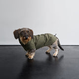 Dachshund Raincoat Dublin 2.0 Dark Olive