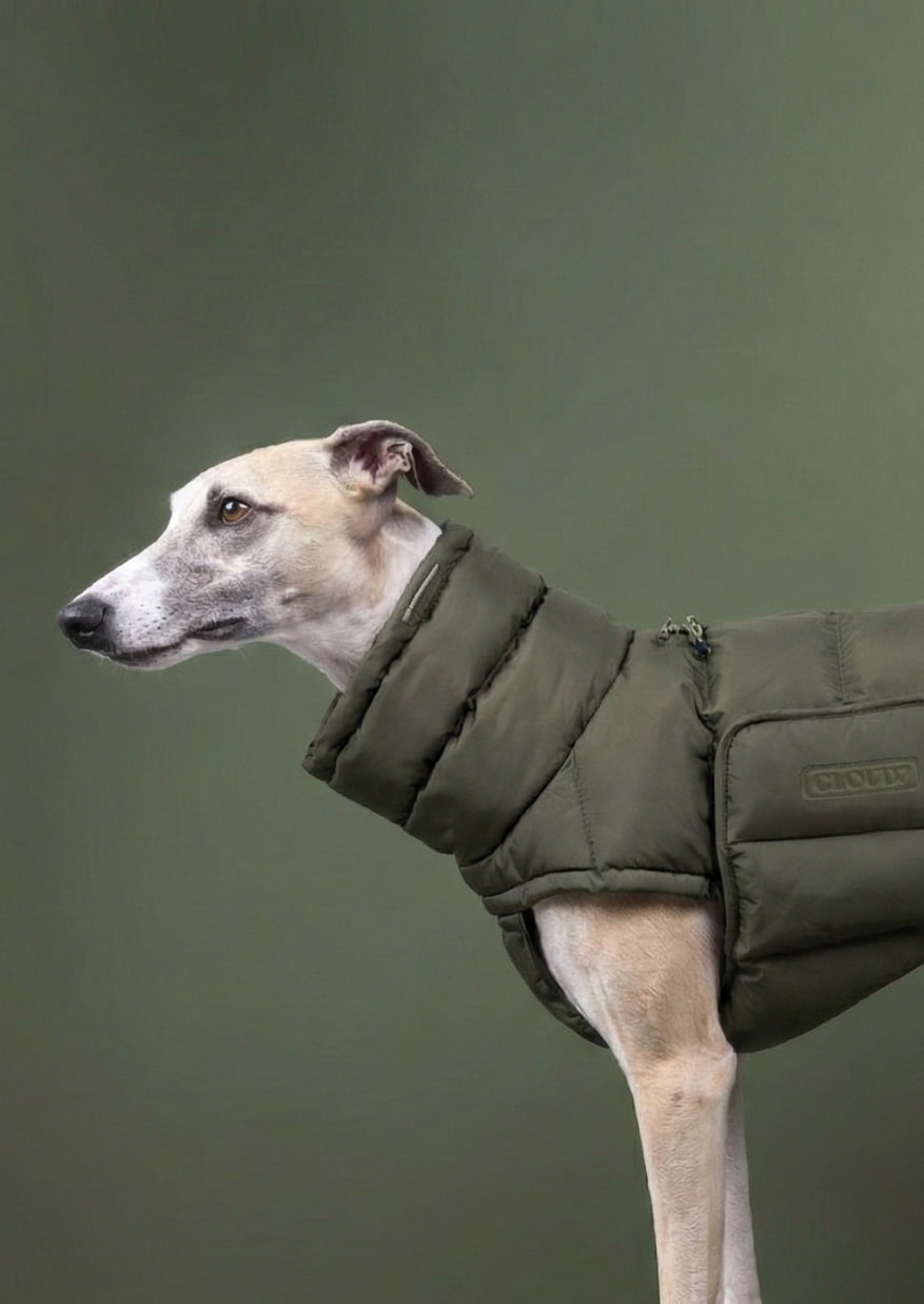 Winter Dog High Collar Jumper Coat – Waterproof & Warm Fleece Jacket For Greyhound, Whippet, Lurcher (M/L/XL)