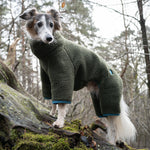 CLOUD7 Dog wearing Sweater Cornwall in colour Olive Green