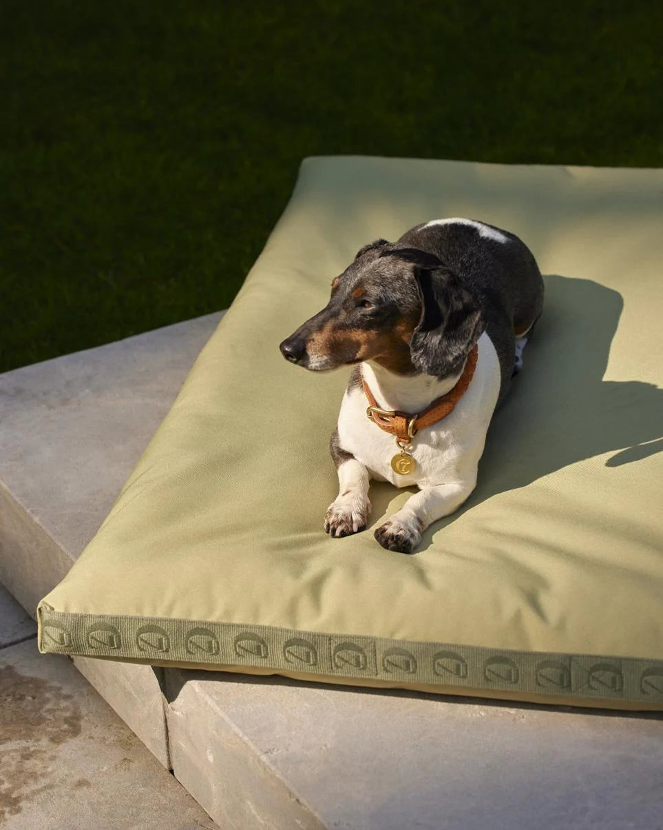 All weather dog bed clearance