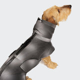 Dachshund Raincoat AKTIV Black
