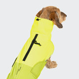 Dachshund Raincoat AKTIV Neon Green/Light Olive