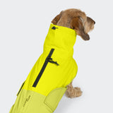 Dachshund Raincoat AKTIV Neon Green/Light Olive