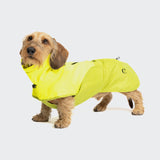 Dachshund Raincoat AKTIV Neon Green/Light Olive