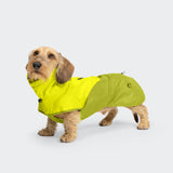 Dachshund Raincoat AKTIV Neon Green/Light Olive