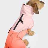 Dachshund Raincoat AKTIV Peach/Neon Pink