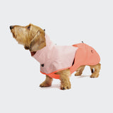 Dachshund Raincoat AKTIV Peach/Neon Pink