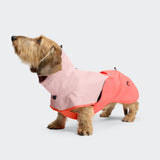 Dachshund Raincoat AKTIV Peach/Neon Pink