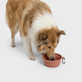 Foldable Travel Bowl AKTIV Faded Rose