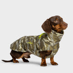 Ein brauner Dackel, der einen Hundemantel Dackel Alaska AKTIV Camo trägt.