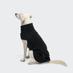 Ein hellfarbiger Hund sitzt und blickt nach links. Er trägt den Body Warmer AKTIV Black – einen Hunde-Bodywarmer mit hohem Kragen, der seinen Körper und Hals bedeckt. Dieser wärmende Hundepullover aus Fleece-Stoff aus recyceltem Polyester sorgt sowohl für Komfort als auch für Wärme. Der Hintergrund ist einfarbig und hellgrau.