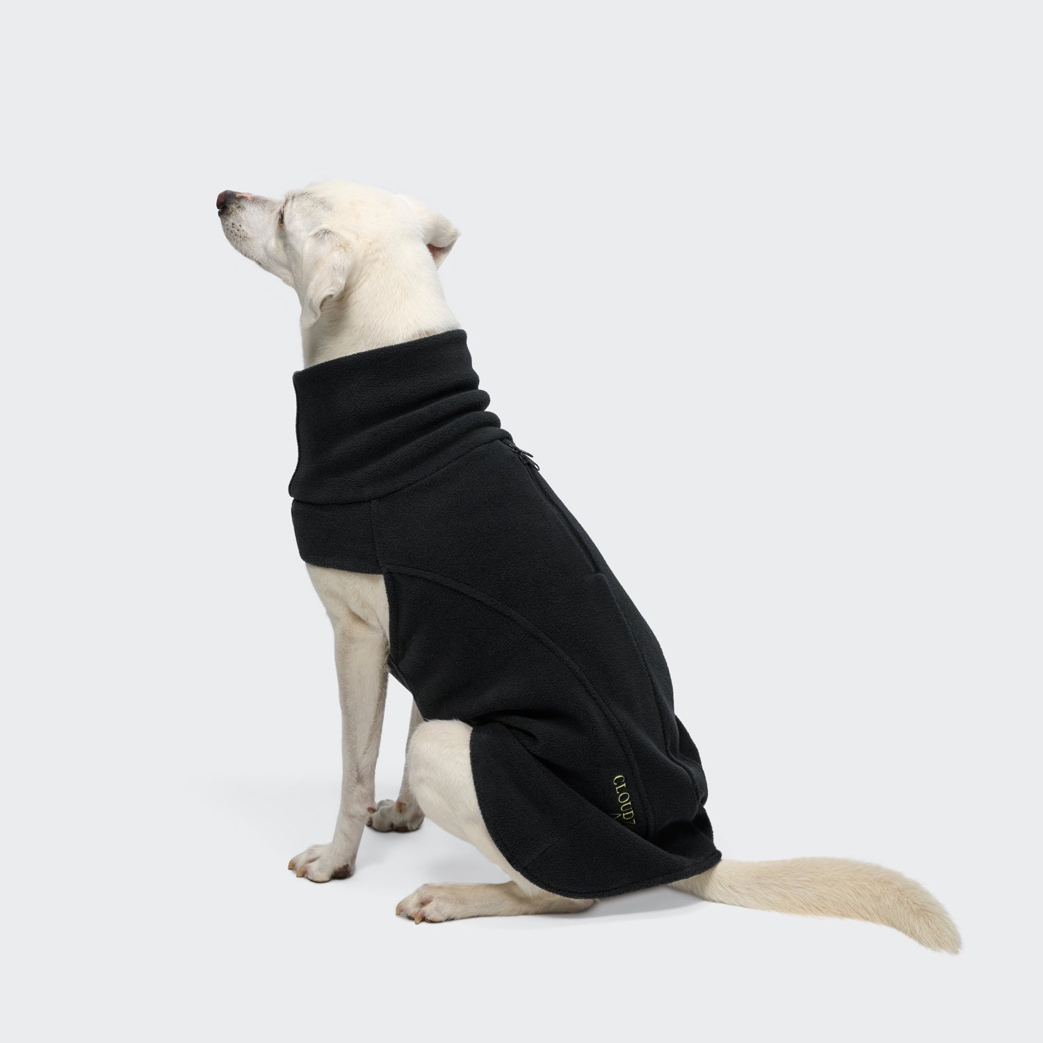Ein hellfarbiger Hund sitzt und blickt nach links. Er trägt den Body Warmer AKTIV Black – einen Hunde-Bodywarmer mit hohem Kragen, der seinen Körper und Hals bedeckt. Dieser wärmende Hundepullover aus Fleece-Stoff aus recyceltem Polyester sorgt sowohl für Komfort als auch für Wärme. Der Hintergrund ist einfarbig und hellgrau.