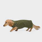 Ein kleiner, hellbrauner Dackel trägt eine „Body Warmer Dackel AKTIV Khaki“-Weste mit Reißverschluss und läuft auf einem schlichten weißen Hintergrund nach links.