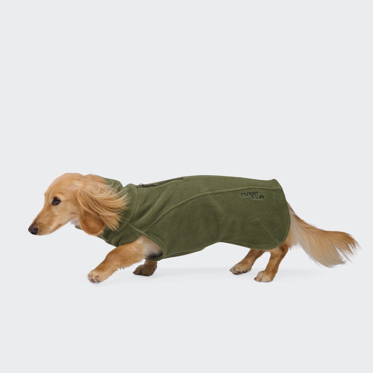 Ein kleiner, hellbrauner Dackel trägt eine „Body Warmer Dackel AKTIV Khaki“-Weste mit Reißverschluss und läuft auf einem schlichten weißen Hintergrund nach links.