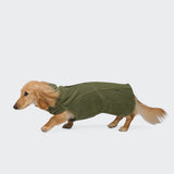 Ein kleiner, hellbrauner Dackel trägt eine „Body Warmer Dackel AKTIV Khaki“-Weste mit Reißverschluss und läuft auf einem schlichten weißen Hintergrund nach links.