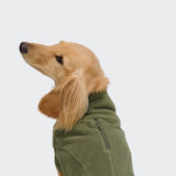 Dachshund Body Warmer AKTIV Khaki