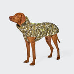 Brauner Hund, der einen Hundemantel Alaska AKTIV Camo trägt.