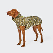 Brauner Hund, der einen Hundemantel Alaska AKTIV Camo trägt.