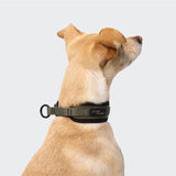 C-1 Martingale Collar AKTIV Softshell Olive
