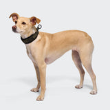 C-1 Martingale Collar AKTIV Softshell Olive