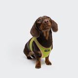 V-1 Vest Harness AKTIV Air-Mesh Peach/Neon Green