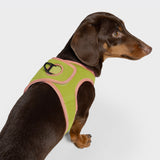 V-1 Vest Harness AKTIV Air-Mesh Peach/Neon Green