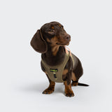 V-2 Vest Harness AKTIV Cordura Khaki/Peach