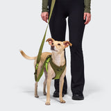 L-3 Hands-Free Leash AKTIV Knit Khaki/Neon Green