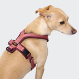 Y-1 Harness AKTIV Air-Mesh Aubergine/Soft Rose