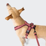 Y-1 Harness AKTIV Air-Mesh Aubergine/Soft Rose