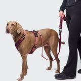 L-1 Hands-Free Leash AKTIV Aubergine/Soft Rose