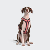 Y-3 Harness AKTIV Softshell Aubergine/Soft Rose