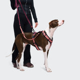 Y-3 Harness AKTIV Softshell Aubergine/Soft Rose