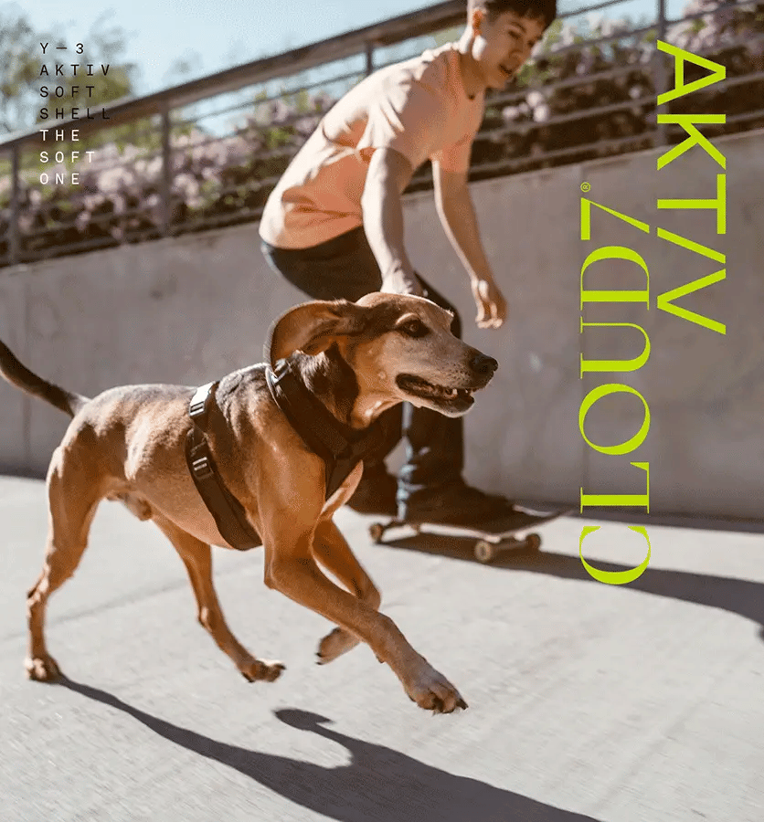 Animated GIF showing the AKTIV Y-3 dog harness worn by different dogs as well as details.
