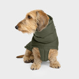 Hundemantel Dackel Alaska Light Olive