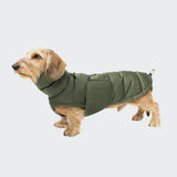 Hundemantel Dackel Alaska Light Olive