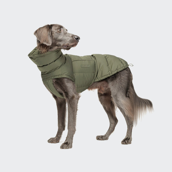ダウン Cloud7 Dog Coat Alaska Olive Size 2 Dog Coat Alaska Light Olive | CLOUD7