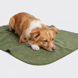 CLOUD7_ Ein braun-weißer Hund liegt entspannt auf einer Hundedecke aus Fleece in Moosgrün. Der Hintergrund ist einfarbig weiß.