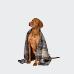 Ein brauner Hund sitzt vor einem grauen Hintergrund, über seinen Rücken ist die Hundedecke „Bouclé Tartan“ – eine grau-schwarz gemusterte Decke – drapiert; er blickt nach oben und nach links.
