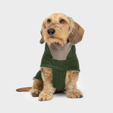 Hundemantel Dackel Brooklyn Flanell Fern Green