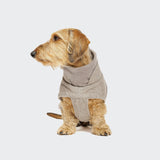 Dachshund Coat Brooklyn Tweed Beige