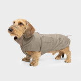 Dachshund Coat Brooklyn Tweed Beige